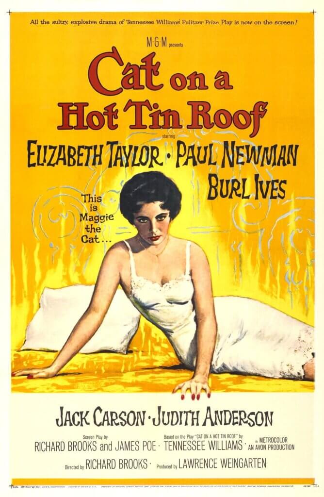 Póster de Cat on a Hot Tin Roof